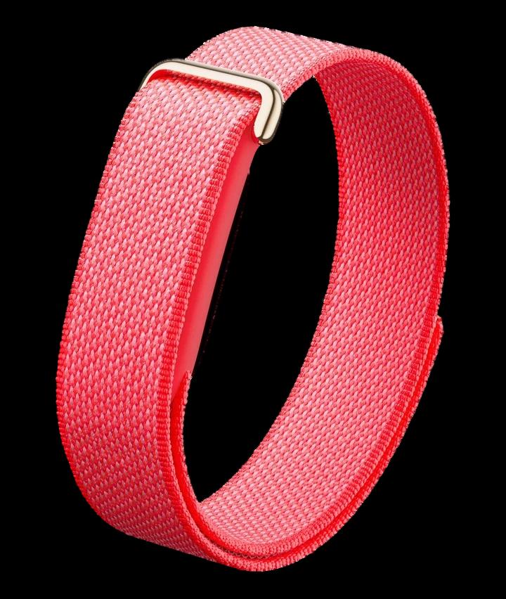 Google Fitbit Air —